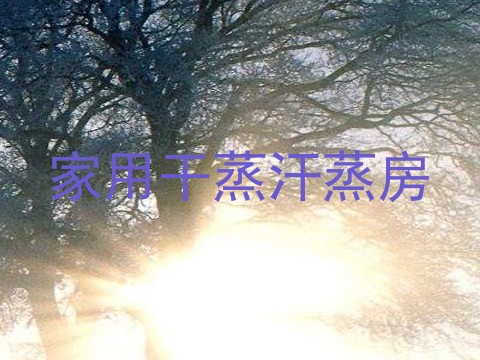 家用干蒸汗蒸房