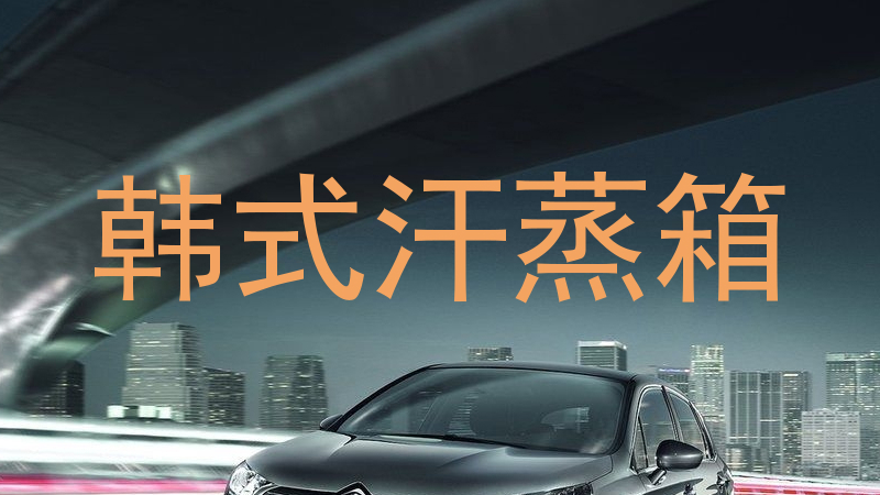 韩式汗蒸箱