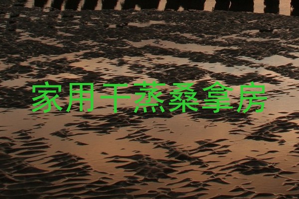 家用干蒸桑拿房