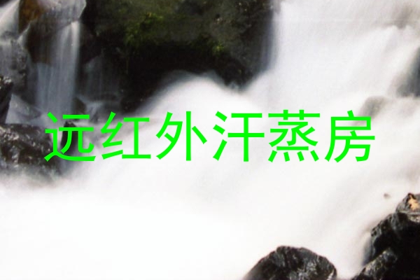 远红外汗蒸房