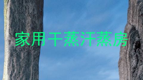 家用干蒸汗蒸房