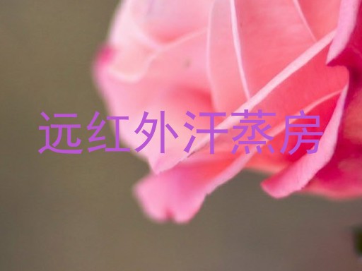 远红外汗蒸房