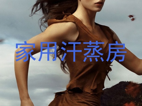 家用汗蒸房