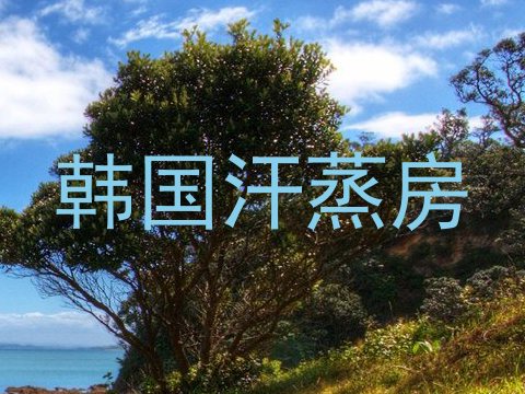 韩国汗蒸房