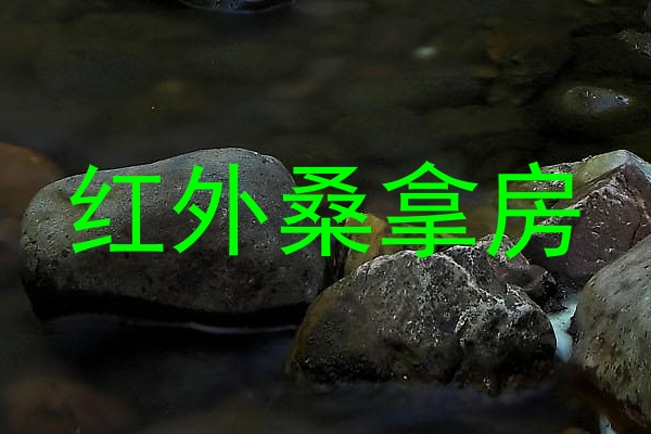 红外桑拿房