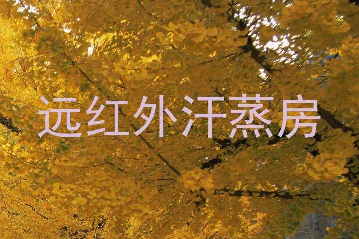 远红外汗蒸房