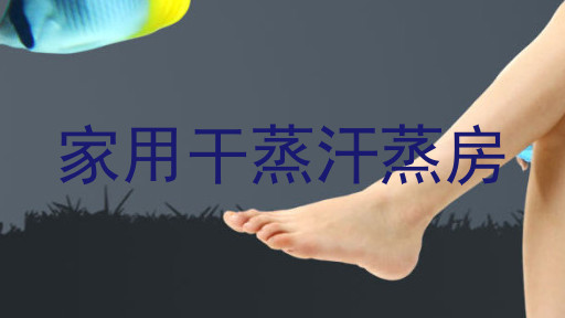 家用干蒸汗蒸房