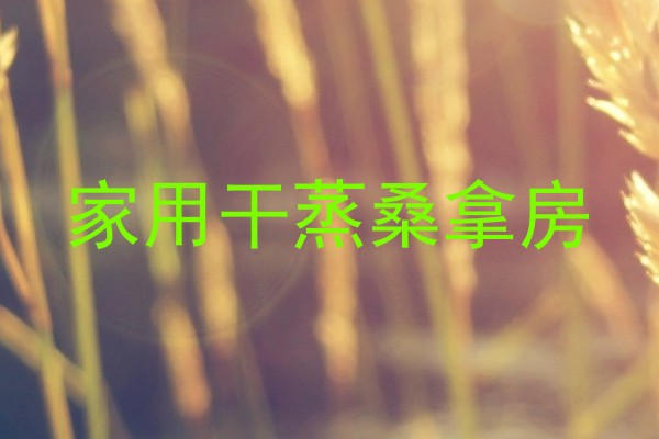 家用干蒸桑拿房