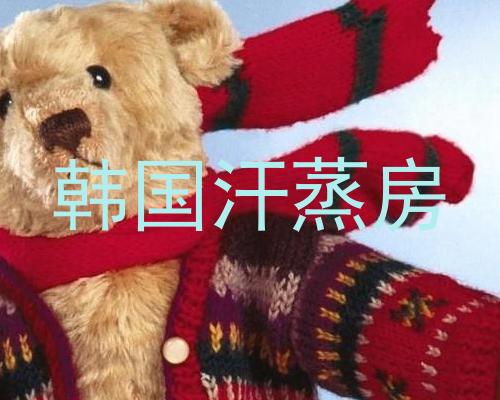 韩国汗蒸房