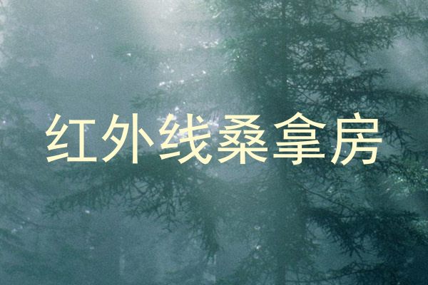 红外线桑拿房