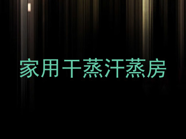 家用干蒸汗蒸房