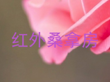 红外桑拿房