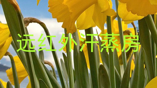 远红外汗蒸房
