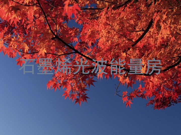 石墨烯光波能量房
