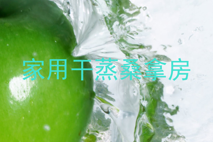 家用干蒸桑拿房