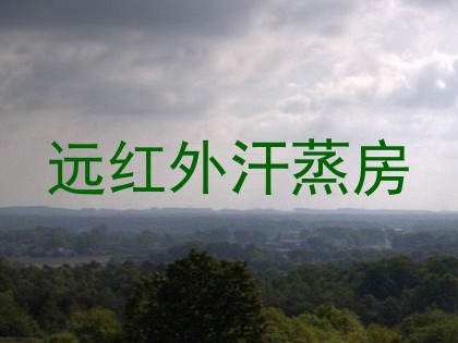 远红外汗蒸房