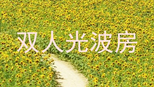 双人光波房