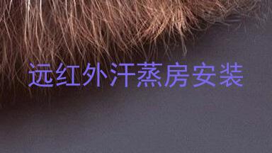远红外汗蒸房安装