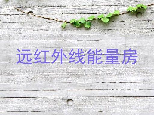 远红外线能量房