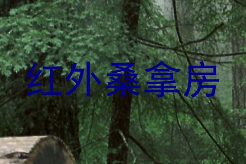 红外桑拿房