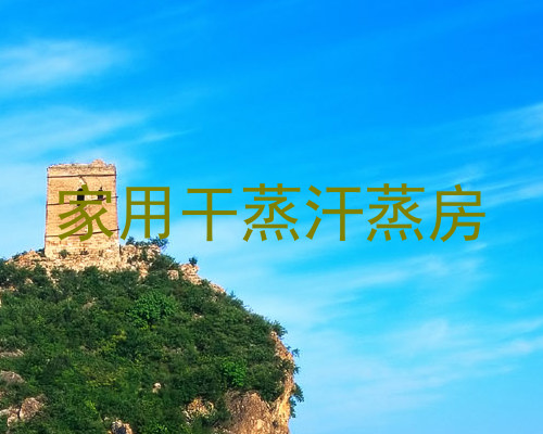 家用干蒸汗蒸房