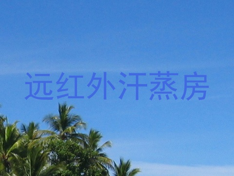 远红外汗蒸房