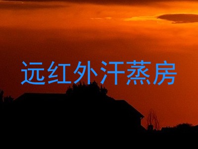 远红外汗蒸房