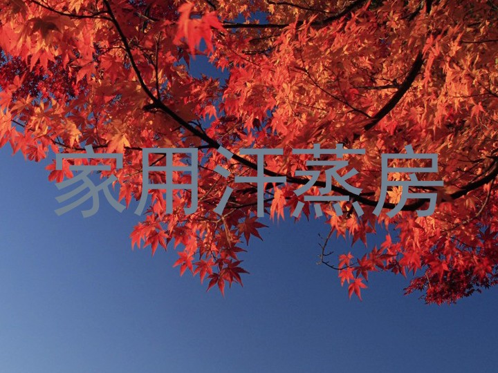 家用汗蒸房