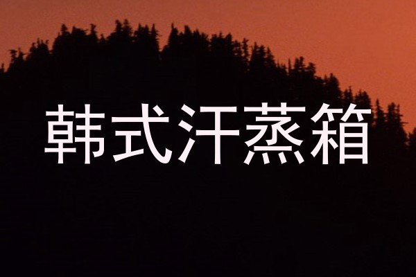 韩式汗蒸箱