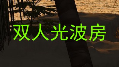 双人光波房