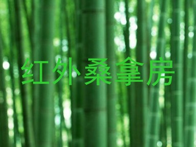 红外桑拿房