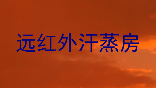远红外汗蒸房
