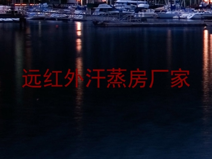 远红外汗蒸房厂家