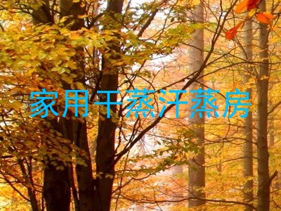家用干蒸汗蒸房