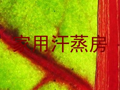 家用汗蒸房