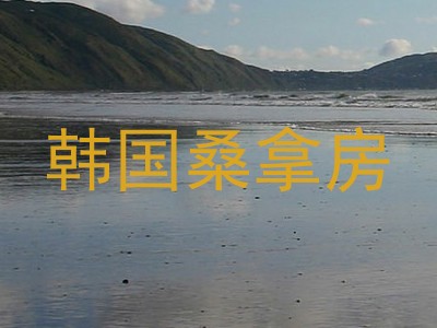韩国桑拿房