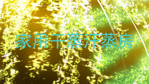 家用干蒸汗蒸房