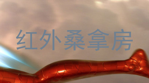 红外桑拿房