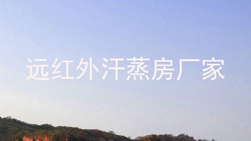 远红外汗蒸房厂家