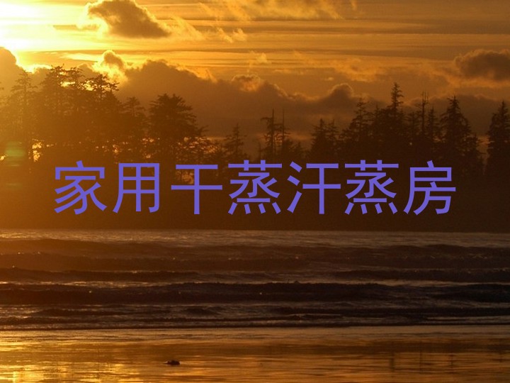 家用干蒸汗蒸房