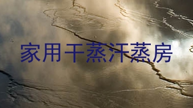 家用干蒸汗蒸房
