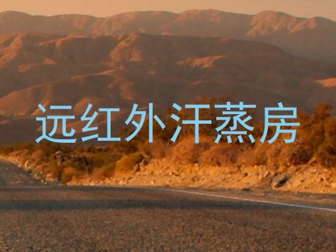 远红外汗蒸房