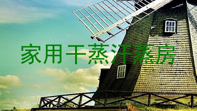 家用干蒸汗蒸房