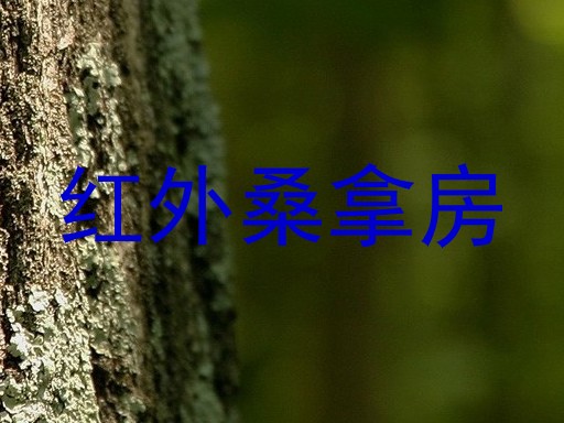 红外桑拿房