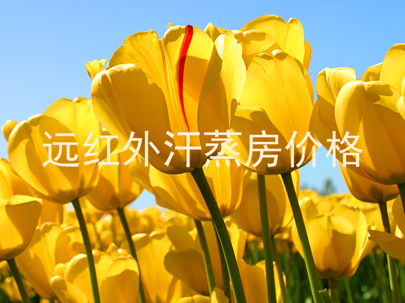 远红外汗蒸房价格