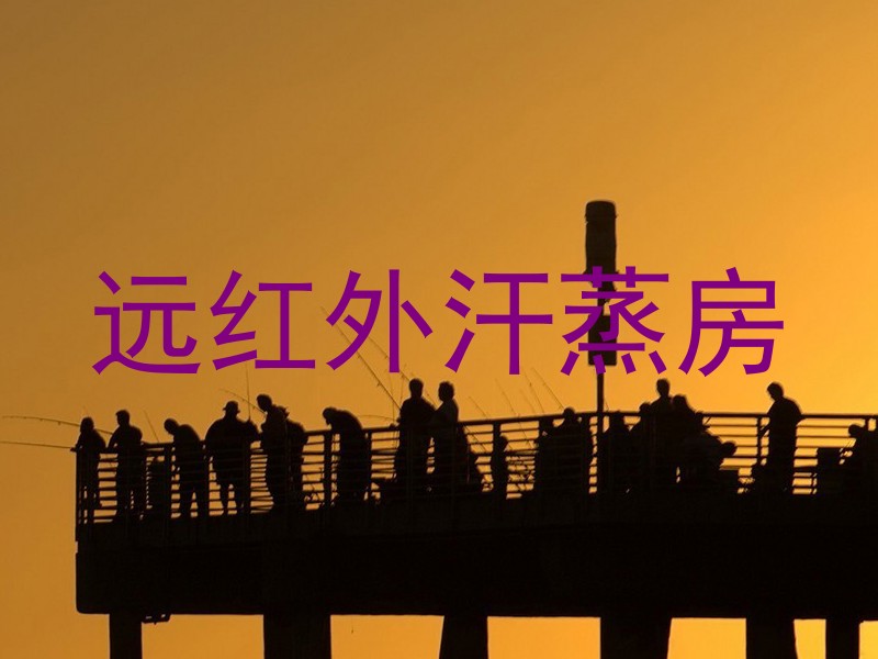 远红外汗蒸房