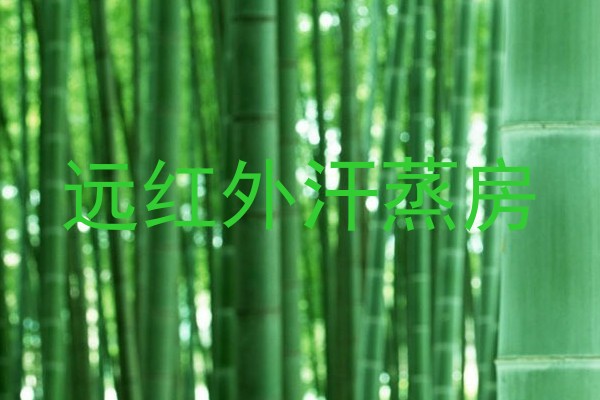 远红外汗蒸房