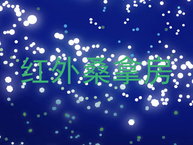 红外桑拿房