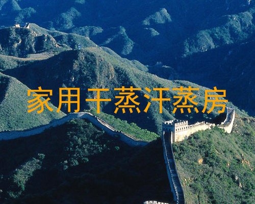 家用干蒸汗蒸房
