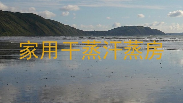家用干蒸汗蒸房